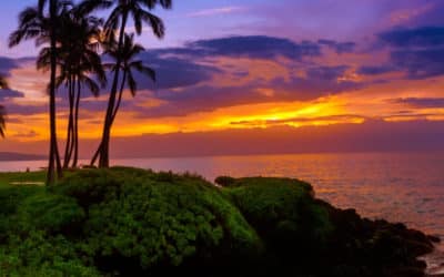 Immigration & Consular Practice