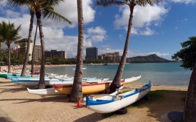 Primer on Forming Your Own Business