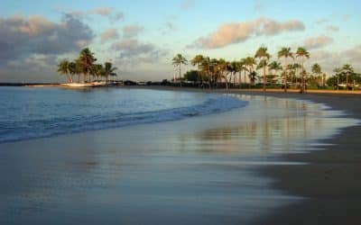 Pandemic Puts Mediation Up Front